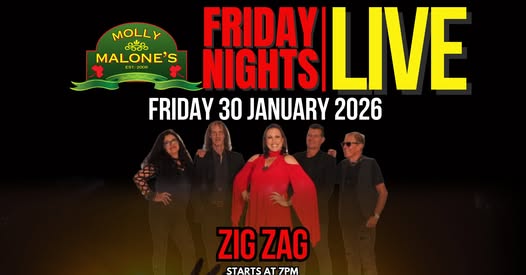 Zig Zag @ Molly Malone's 30 Jan - Image 1