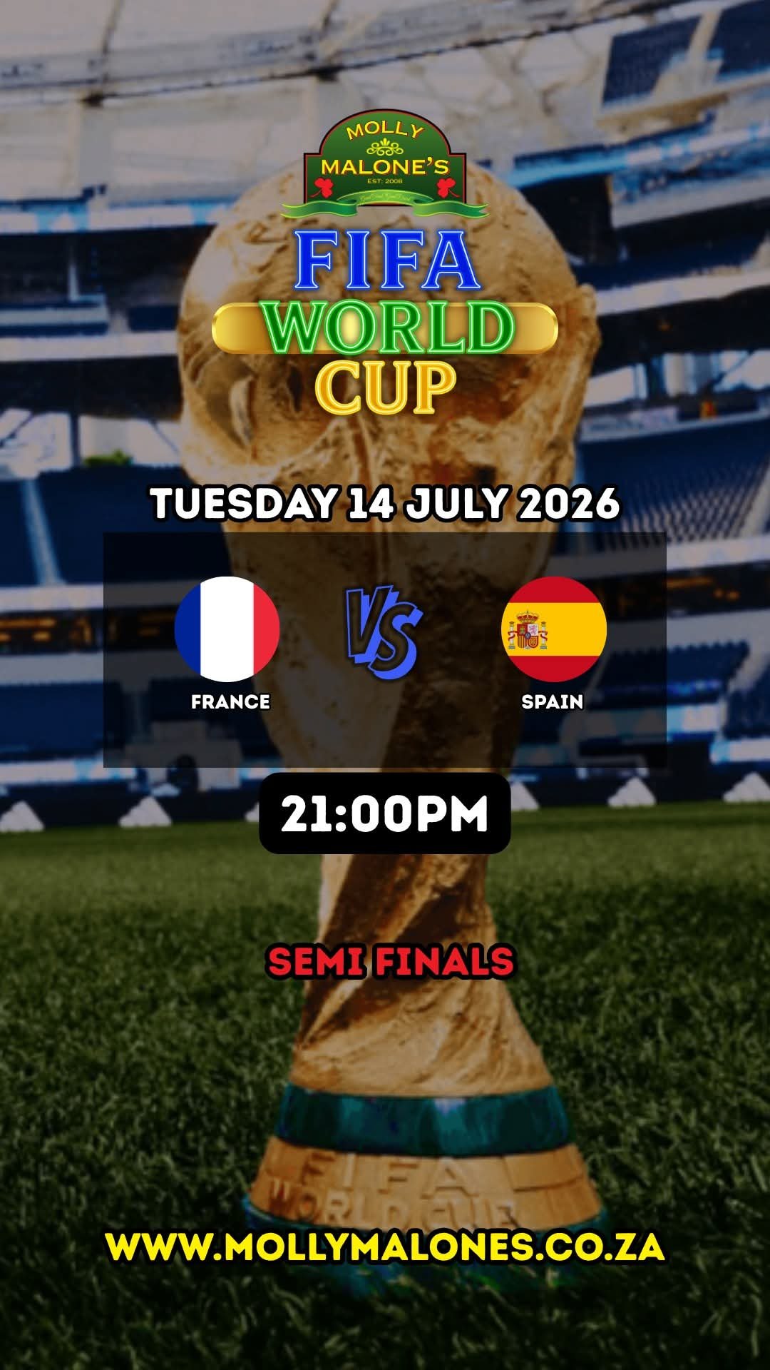 FIFA World Cup: France vs Spain