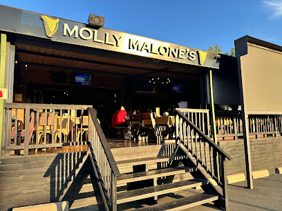 Zig Zag @ Molly Malone's